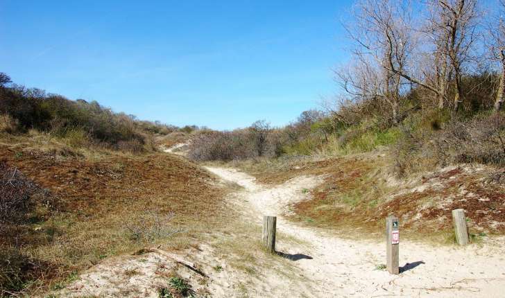 Sentier de la dune Marchand (Crédits : Ecobalade)