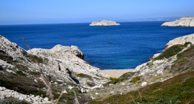 Sortie nature aux îles du Frioul