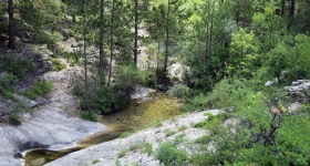 En randonnée au Buëch