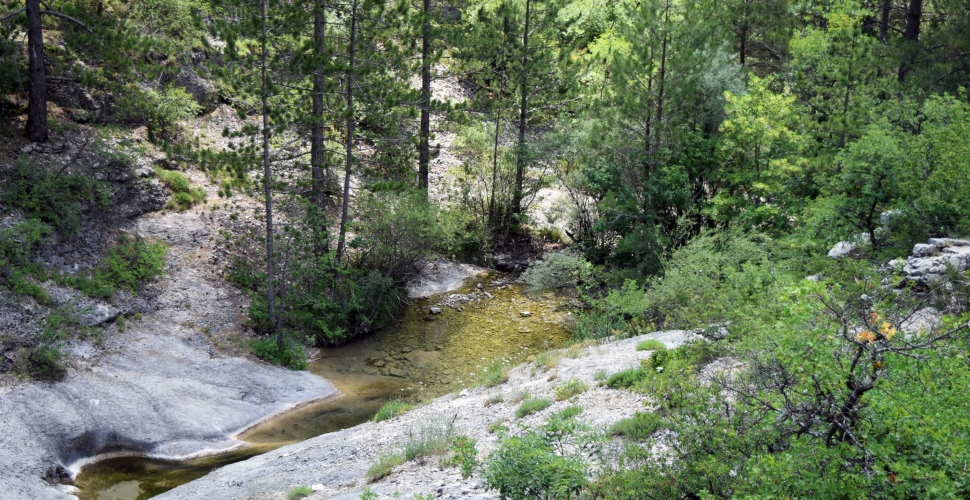 En randonnée au Buëch