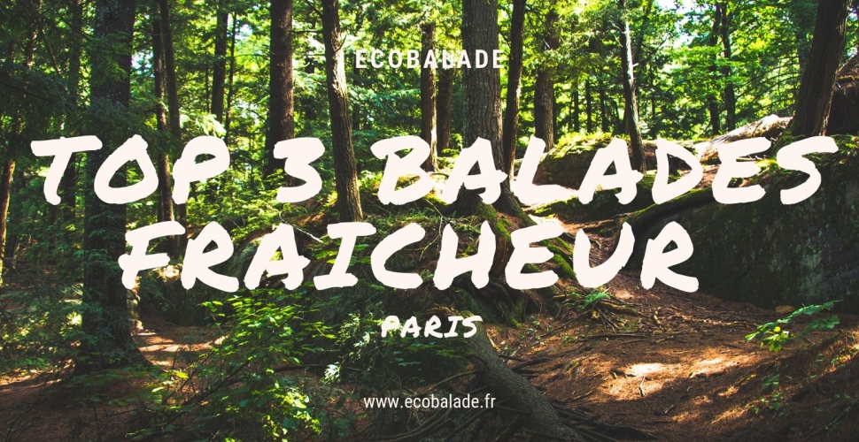 TOP 3 des balades fraîcheur autour de Paris 