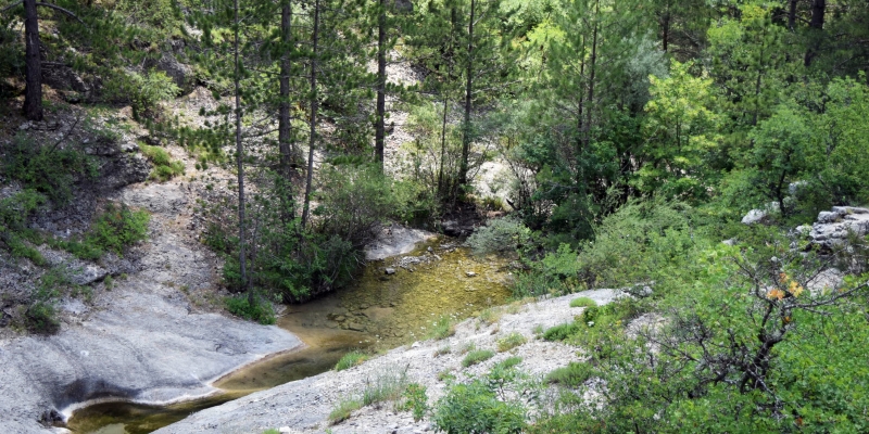 En randonnée au Buëch