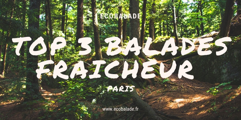 TOP 3 des balades fraîcheur autour de Paris 