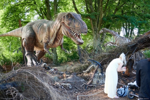  Roi des lézards tyrans