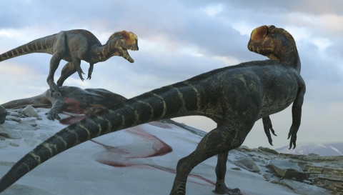  Lézard à deux crêtes