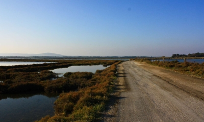 Ecobalade des étangs de Villeneuve-lès-Maguelone (Crédits : Cyril Gautreau)
