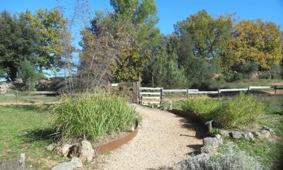 Sentier des plantes aromatiques - (Crédits : Parc d'Aoubré)