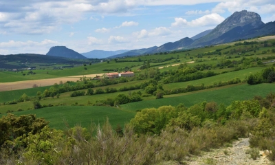 Balade de l'Epine - Pays du Buëch - entre Sisteron et Serre-Ponçon (Crédits : Sabine Meneut)