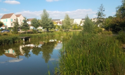 Etang du quartier des Brichères