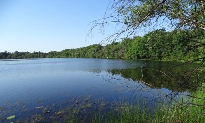 Etang de Nouan le fuzelier