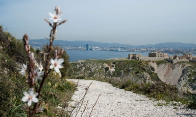 Archipel du Frioul