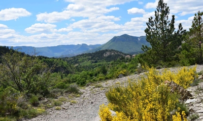 Balade de St-Génis dans les Gorges du Riou - Pays du Buëch- entre Sisteron et Serre-ponçon  (Crédits : Sabine Meneut)