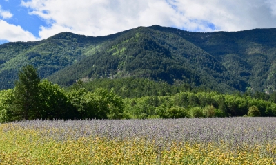 Vallée du Toulourenc (crédits Natural Solutions)