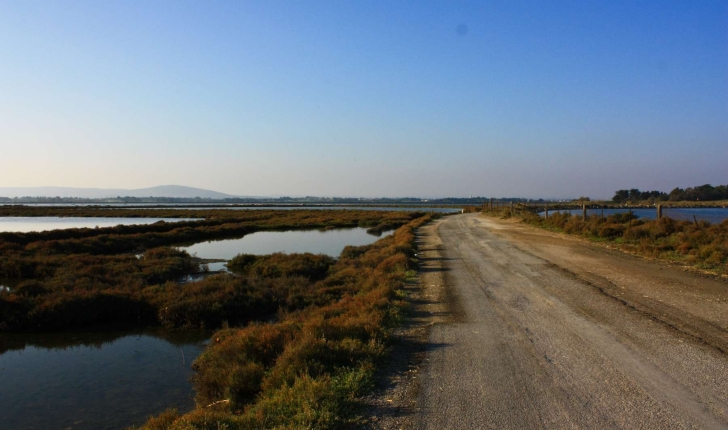 Ecobalade des étangs de Villeneuve-lès-Maguelone (Crédits : Cyril Gautreau)