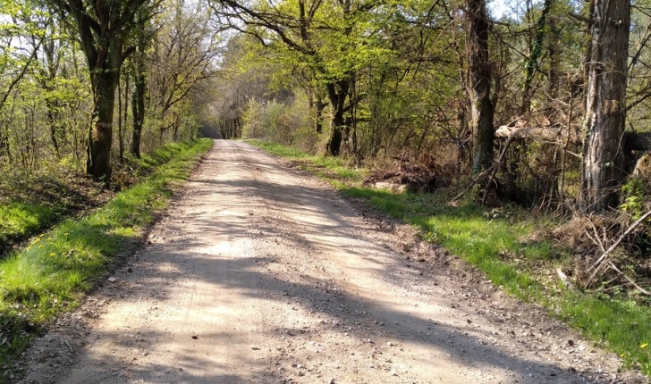 Ecobalade, sentier forêt de Villeny 