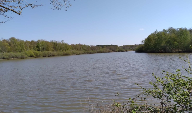 Ecobalade, sentier étang de Villeny 
