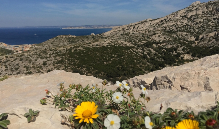 Calanque Marseille Callelongue