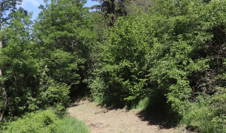 Balade de la Roche de Landeyrat (Crédit : Laura Azzolina)