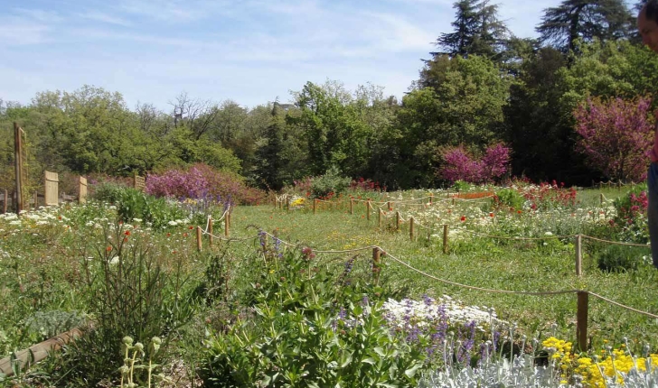 Le jardin des papillons - (Crédits Aoubré)