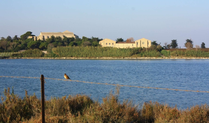 Ecobalade des étangs de Villeneuve-lès-Maguelone (Crédits : Cyril Gautreau)
