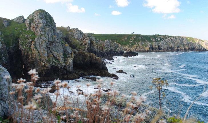 Réserve du Cap Sizun - (Crédits : Damien Vedrenne)