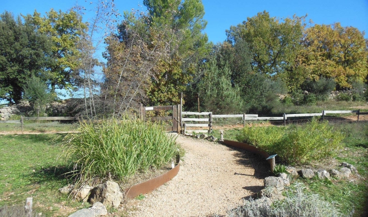 Sentier des plantes aromatiques (Crédits : Parc d'Aoubré)