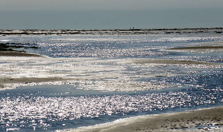 Baie de Somme - La Maye (Crédits: Stéphanie Ritz)