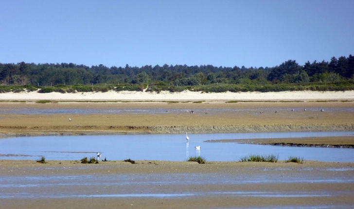 Baie de Somme - La Maye (Crédits: Stéphanie Ritz)