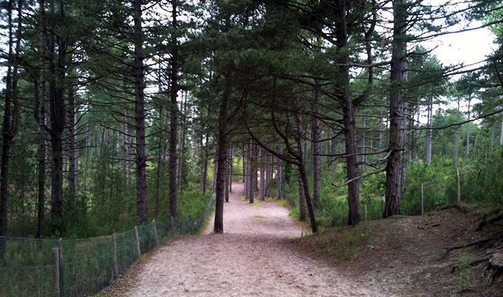 Sentier d'accès à la mer (Crédits: Stéphanie Ritz)