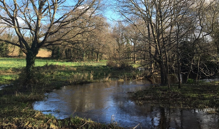 Balade de la Rivière le Goyen - crédit Bretagne Vivante