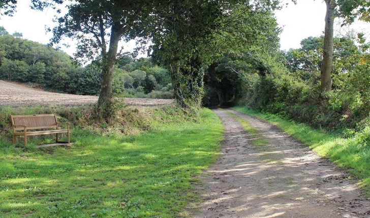 Balade de la Rivière le Goyen - crédit Bretagne Vivante