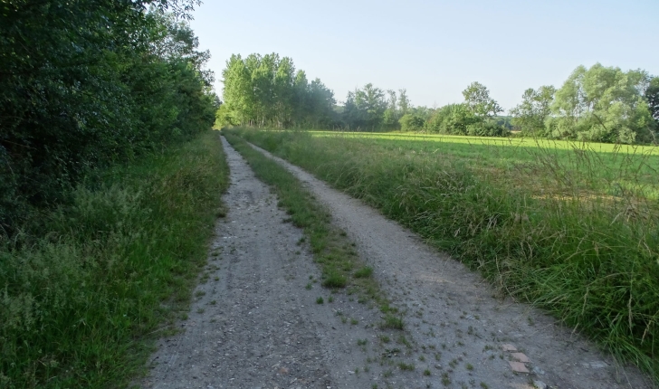 Balade de Méry-sur-Cher - crédit Sologne Nature Environnement