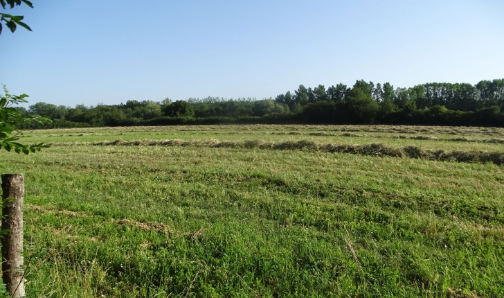 Balade de Méry-sur-Cher - crédit Sologne Nature Environnement