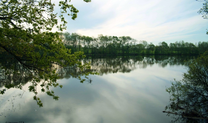 Etang de Rosporden - Crédit : Concarneau Cornouaille Agglomération