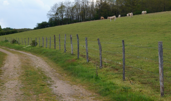 Balade de Vendôme - Saint-Firmin-Des-Prés - Crédit : Office du Tourisme de Vendôme