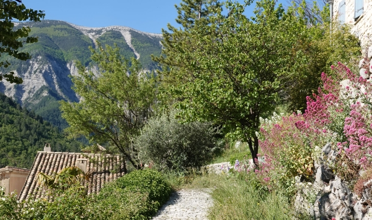 balade-vallee-Toulourenc-Mont-Ventoux-Brantes-credits-Toulourenc-Horizons