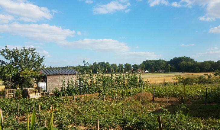 Jardins partagés de l'écoquartier des Brichères