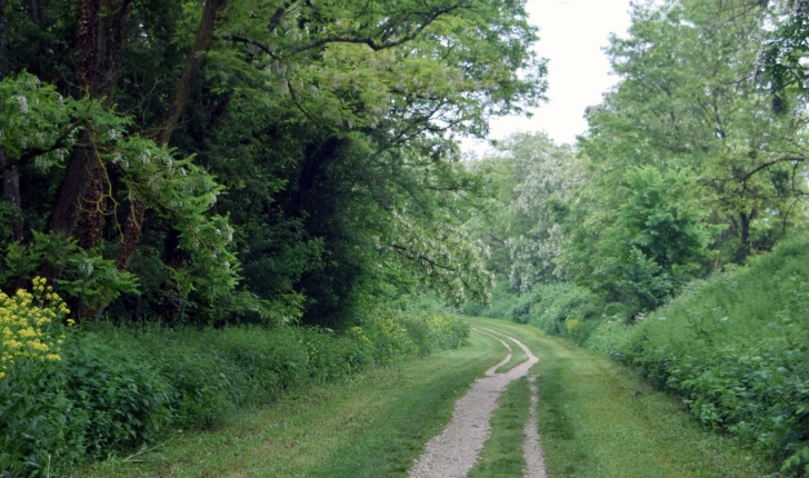 La coulée verte sur le circuit des Brichères.