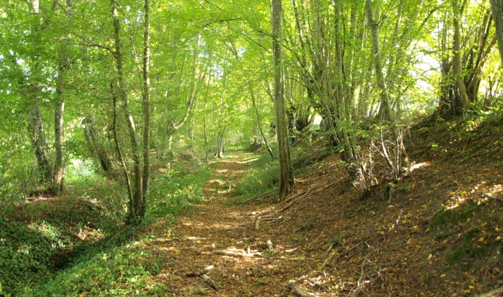 Chemin-crédit-Office de tourisme-de-Vendôme