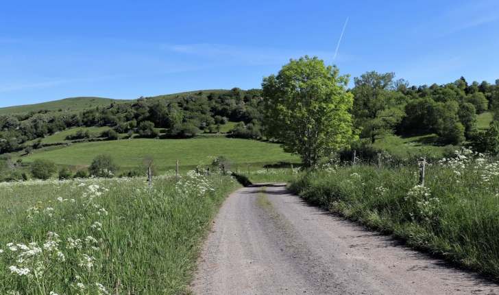 Estives du plateau de Chastel-sur-Murat (Crédit : Laura Azzolina)