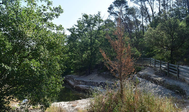 Balade de Gréasque (Crédits: Stéphanie Ritz)