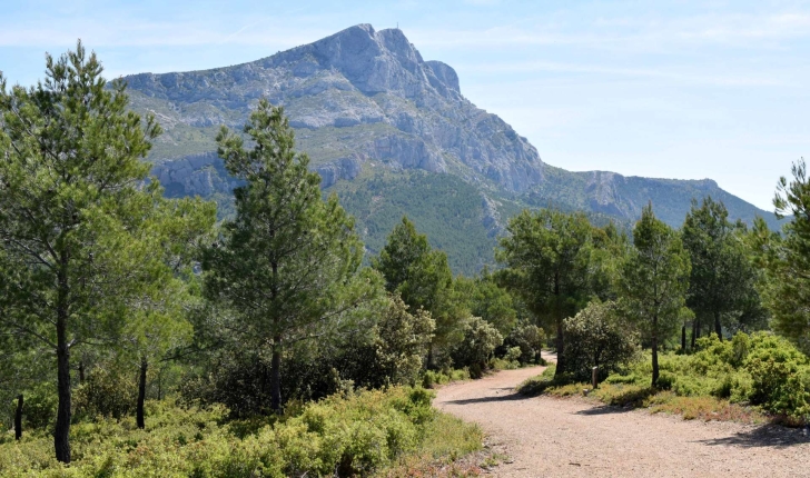 Montagne Sainte-Victoire (Crédits : Léa Charbonnier)