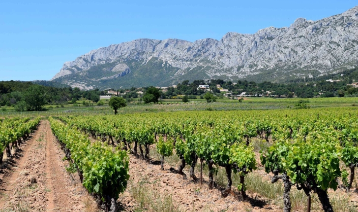 Balade du sentier des vignerons de la Montagne Sainte Victoire - Puyloubier (Crédits : Léa Charbonnier)