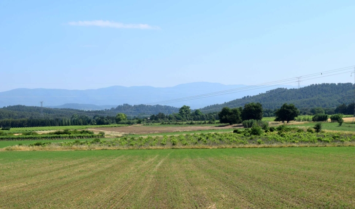 Balade de Rognes (Crédits : Léa Charbonnier)