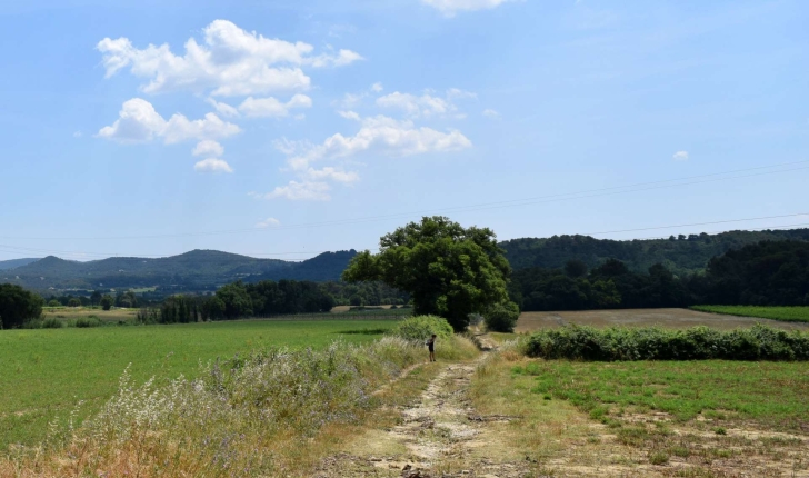 Balade de Rognes (Crédits : Léa Charbonnier)