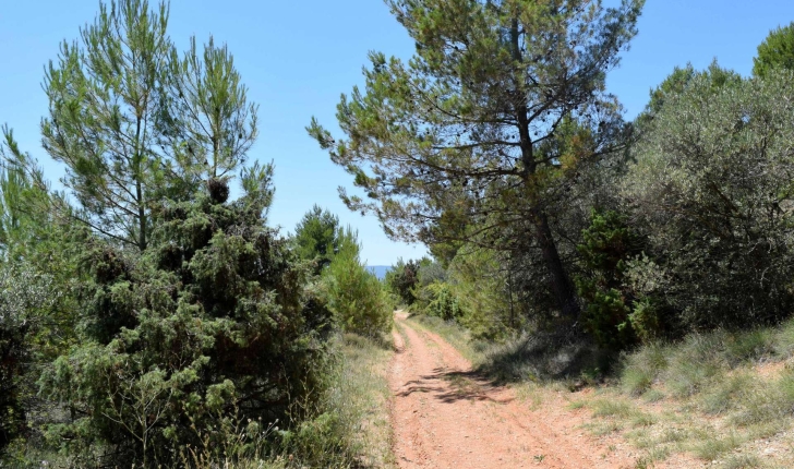 Balade des ocres de Gargas (Crédits : Léa Charbonnier)