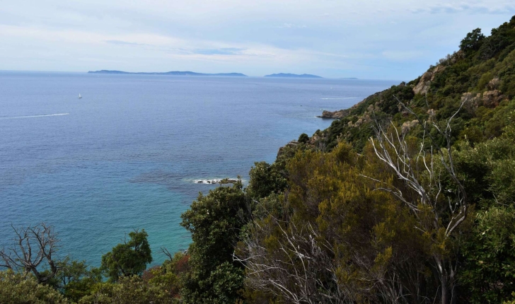 Point de vue depuis le sentier de Fenouillère (Crédits : Sabine Meneut)