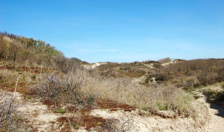 Sentier de la dune Marchand (Crédits : Ecobalade)