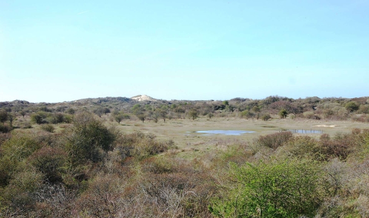 Sentier de la dune Marchand (Crédits : Ecobalade)