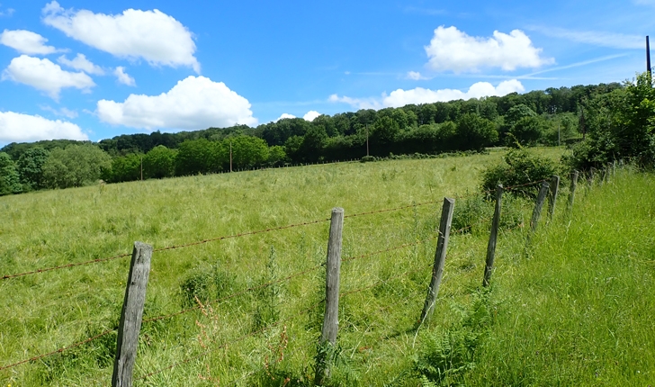 La Cloche, vallée du Perche (crédits Eva Chéramy)